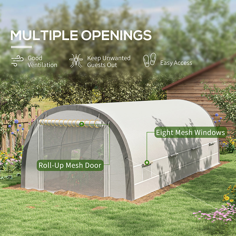 6x3m Polytunnel Greenhouse with Mesh Door & Windows