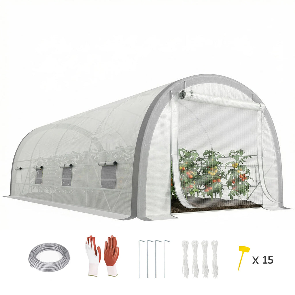 6x3m Polytunnel Greenhouse with Mesh Door & Windows