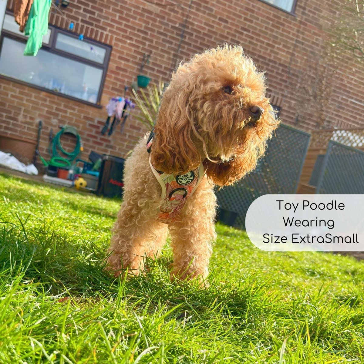 Autumn Breeze Adjustable No-Pull Dog Harness