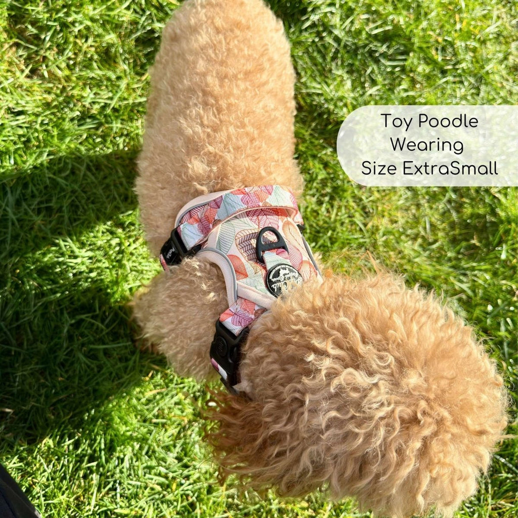 Autumn Breeze Adjustable No-Pull Dog Harness